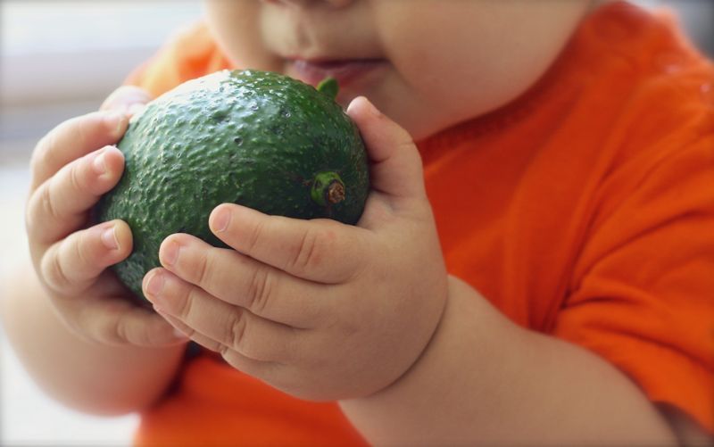 Formation Petit Poucet. Agir en faveur de comportements nutritionnels favorables à la santé de l’enfant de 0 à 3 ans