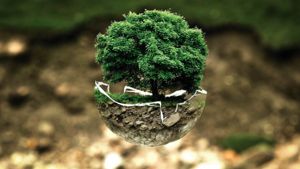 Santé environnement