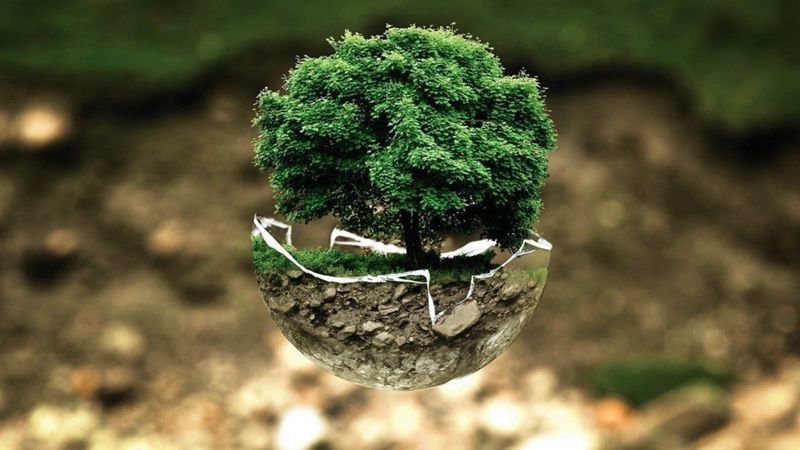 Santé environnement