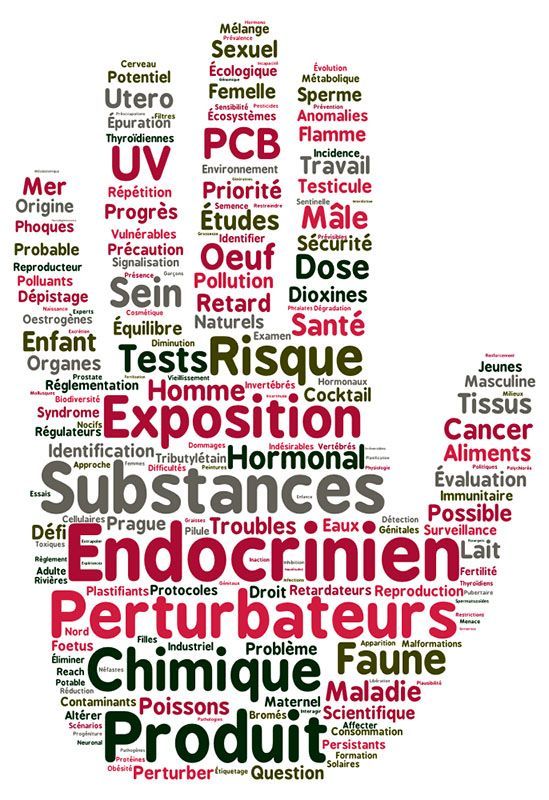 Formation Perturbateurs endocriniens
