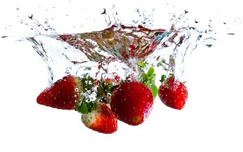 Formation Alimentation et environnement