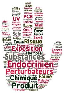 Formation Perturbateurs endocriniens