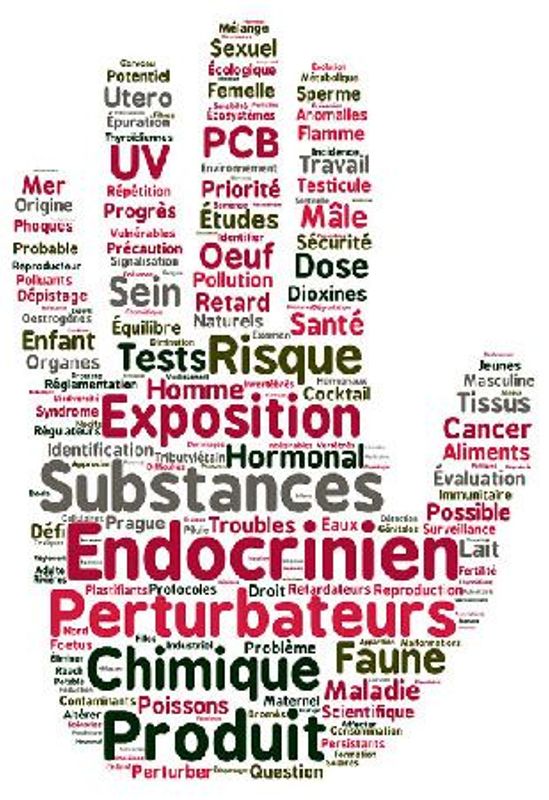 Formation Perturbateurs endocriniens
