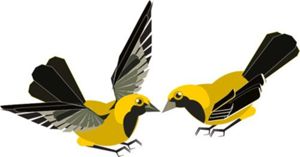 Oiseaux
