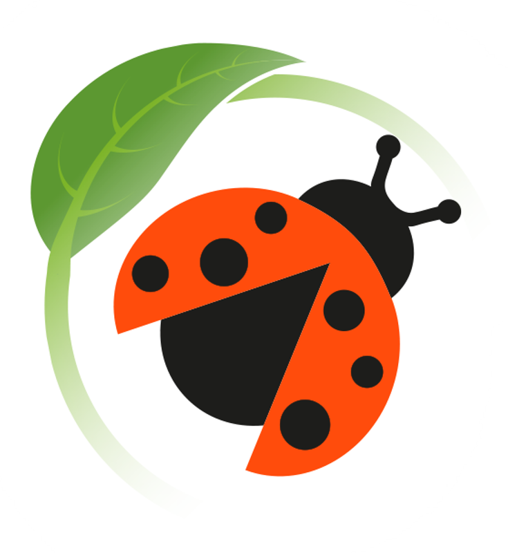 Etablissements d'accueil du jeune enfant : rejoignez le programme Coccinelles !