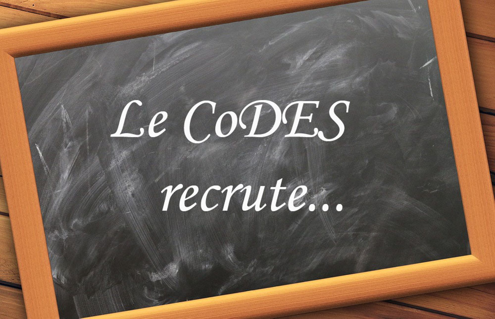Le CoDES 84 recrute un ou une chargé·e de projet expérimenté·e en promotion de la santé et en parentalité