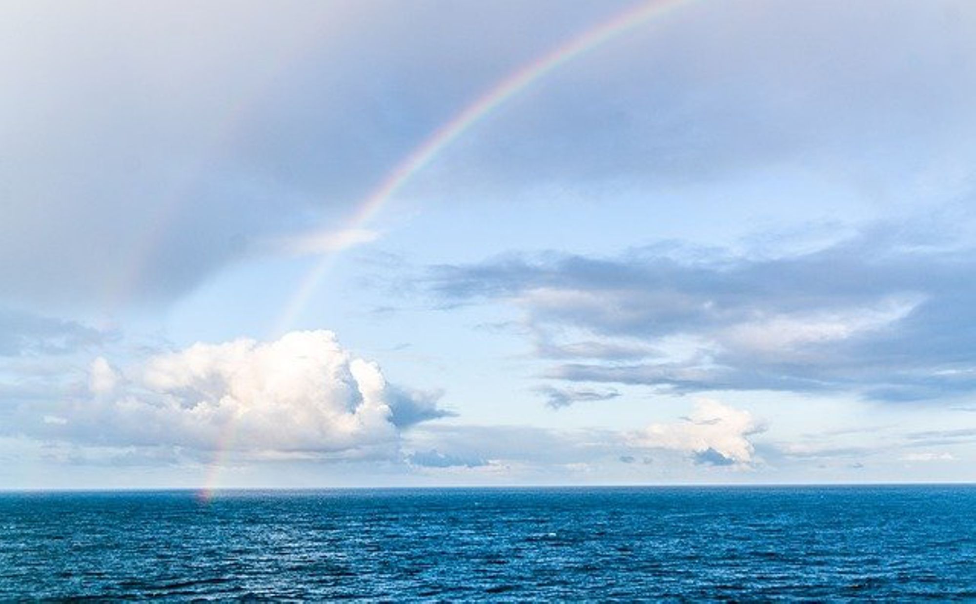 La Méditation de Pleine Conscience. Au service des professionnels en santé, social, éducation