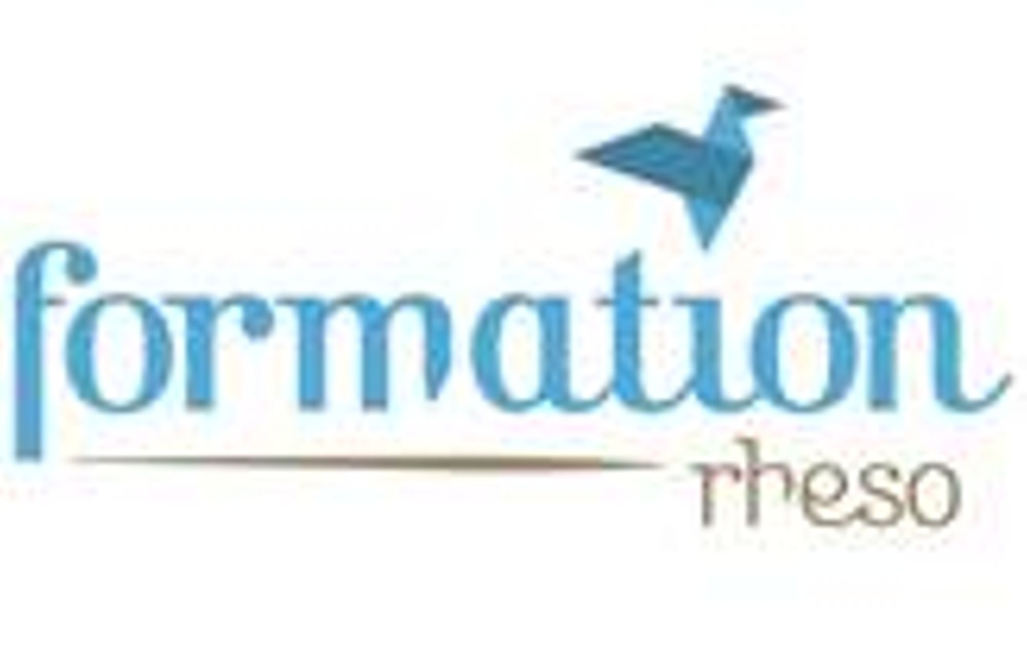 Formations "Violences faites aux femmes" et "Enfants exposés aux violences"