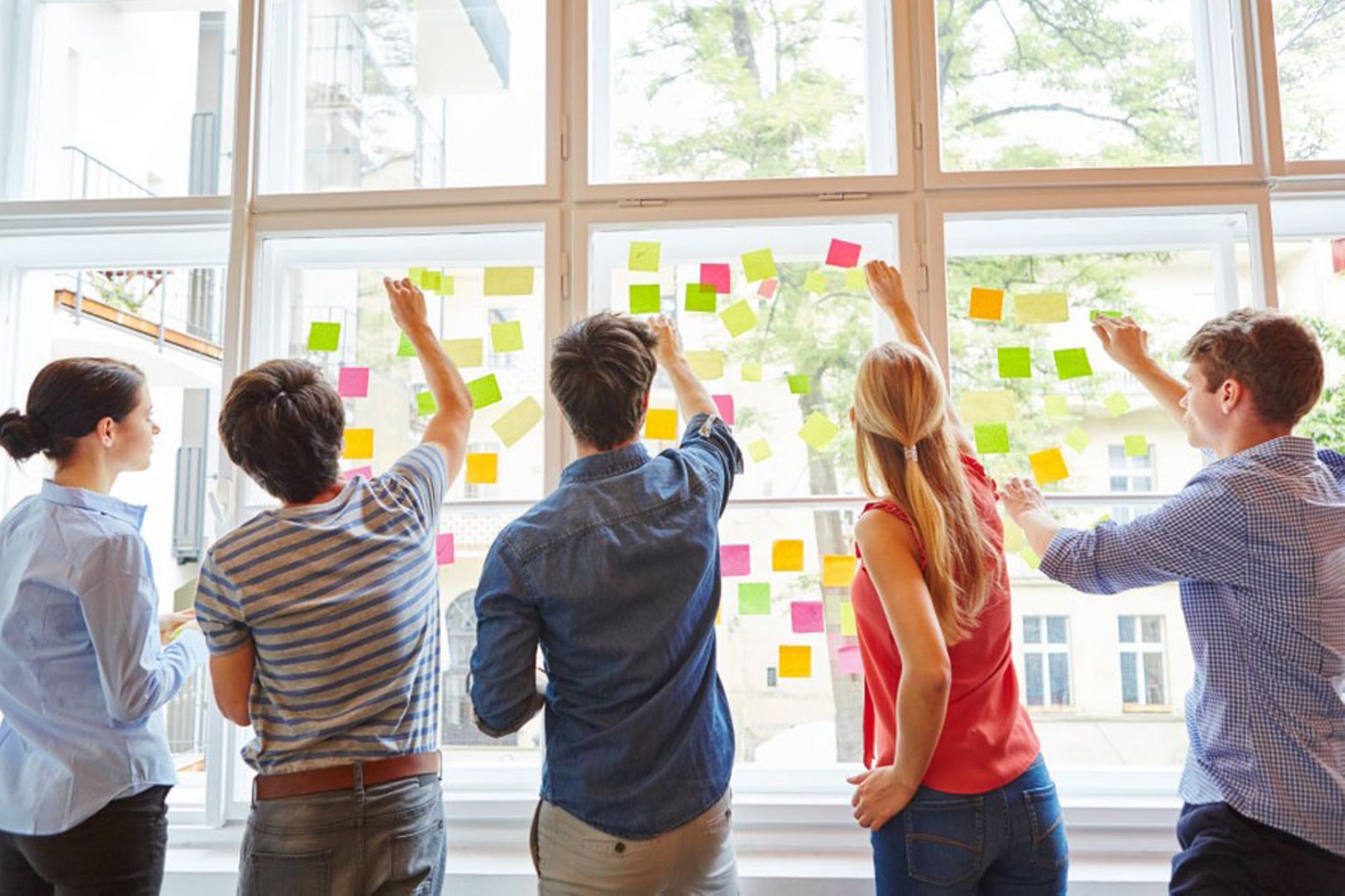 Formation Techniques d'animation