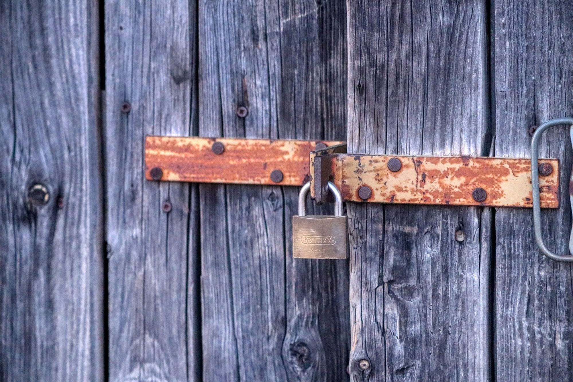 Violence - Maltraitance