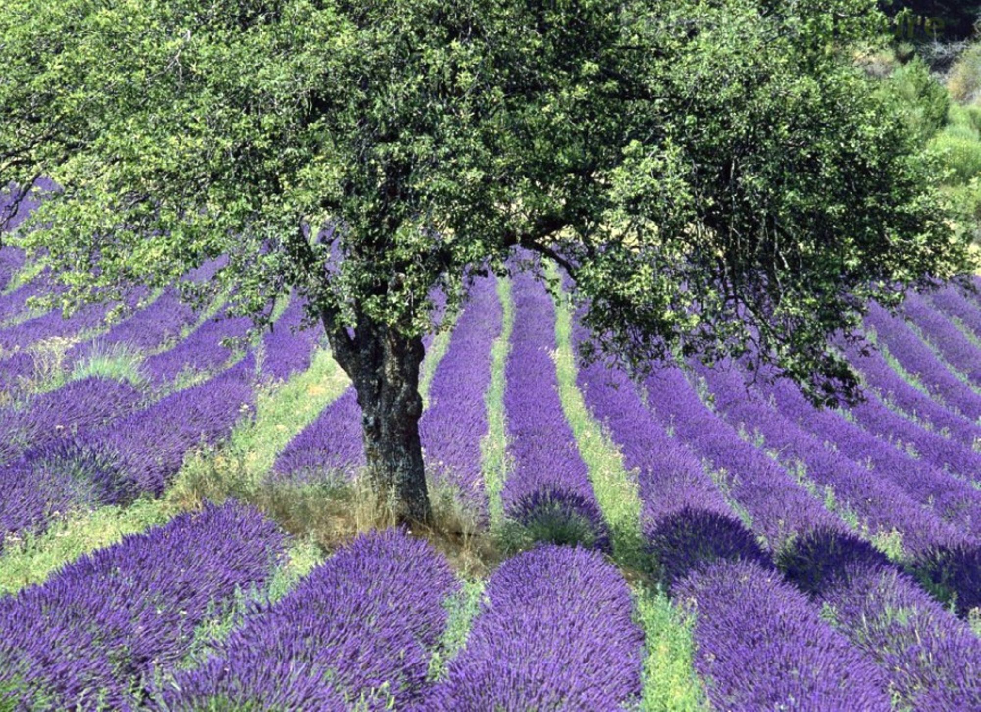 Educ'Santé Vaucluse