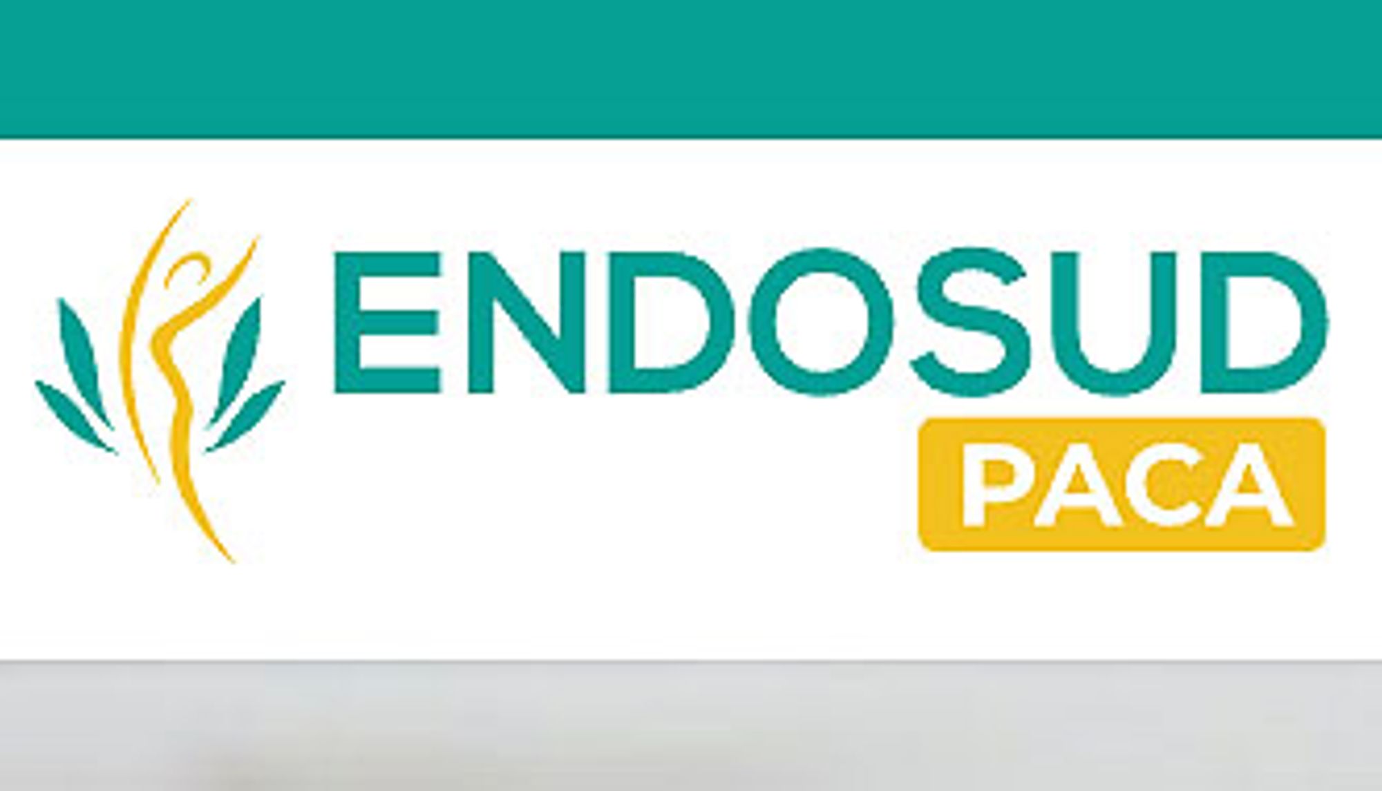 EndoSud Paca recrute un/une Coordinateur (trice) départemental (e) : parcours de soin endométriose