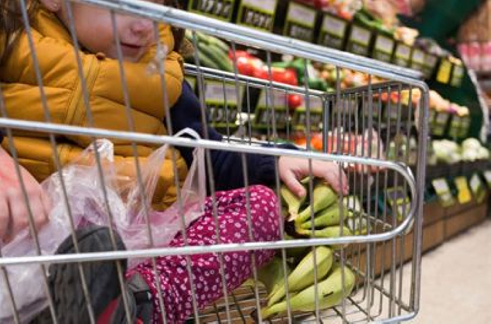 Webinaire "Alimentation durable et personnes en situation de précarité"